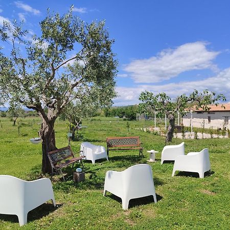 Masseria Fontana Dei Fieri بيترلشينا المظهر الخارجي الصورة