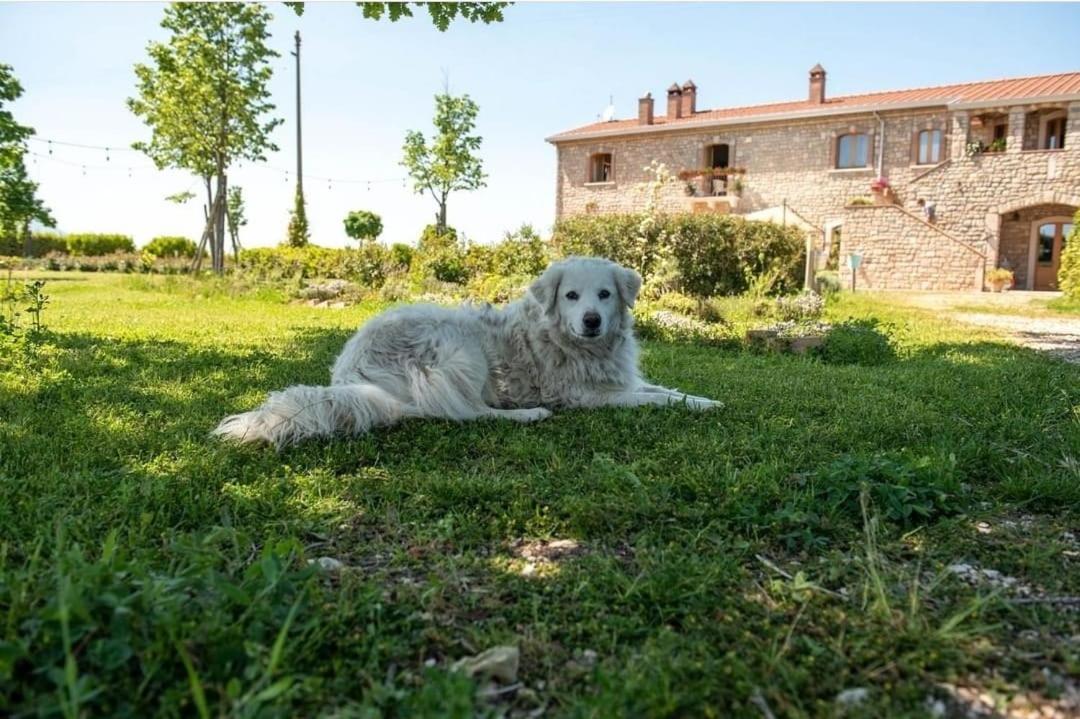Masseria Fontana Dei Fieri بيترلشينا المظهر الخارجي الصورة
