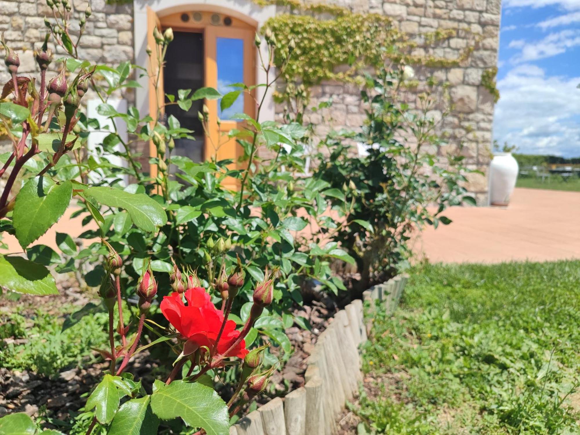 Masseria Fontana Dei Fieri بيترلشينا المظهر الخارجي الصورة