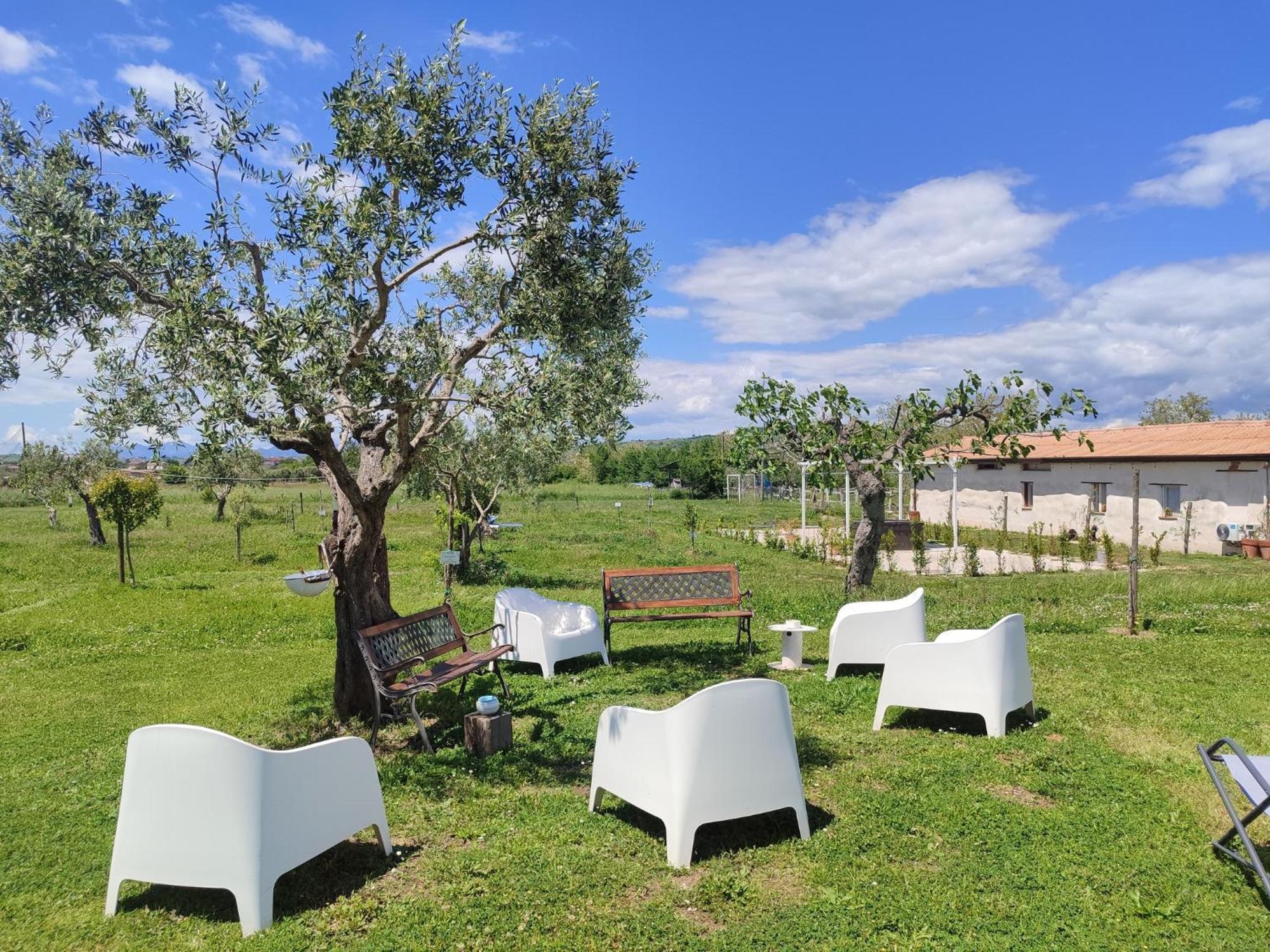 Masseria Fontana Dei Fieri بيترلشينا المظهر الخارجي الصورة