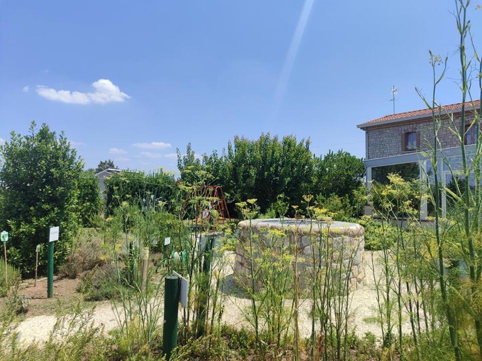 Masseria Fontana Dei Fieri بيترلشينا المظهر الخارجي الصورة