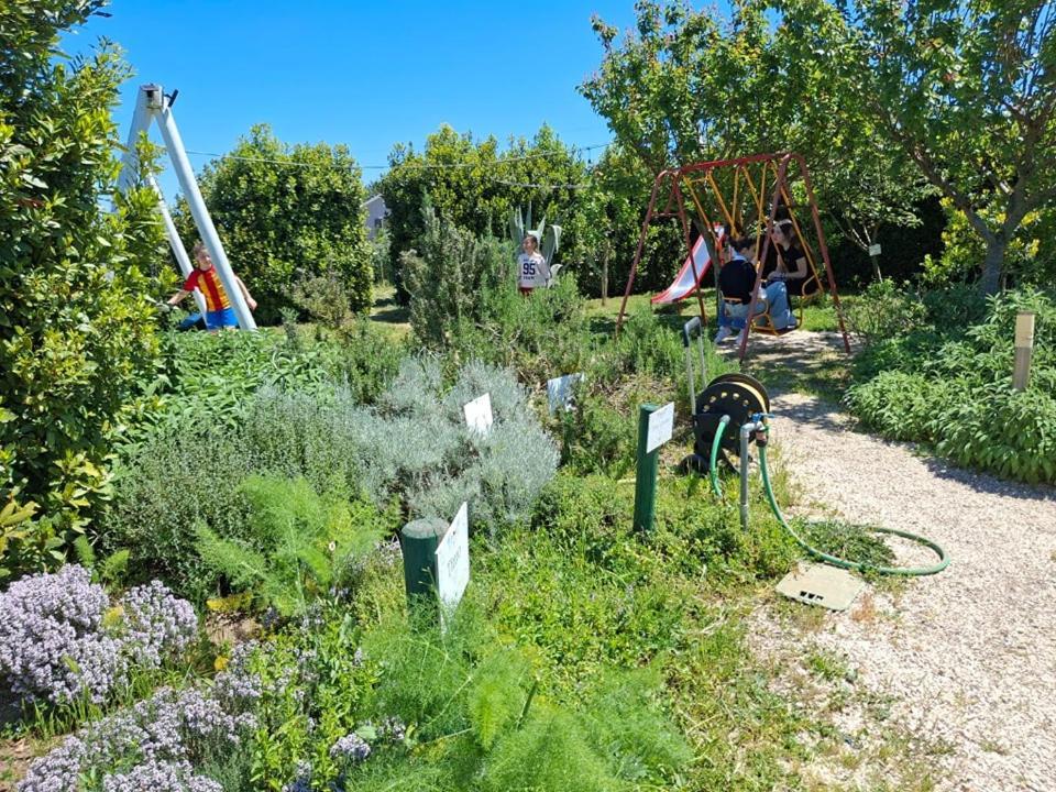 Masseria Fontana Dei Fieri بيترلشينا المظهر الخارجي الصورة