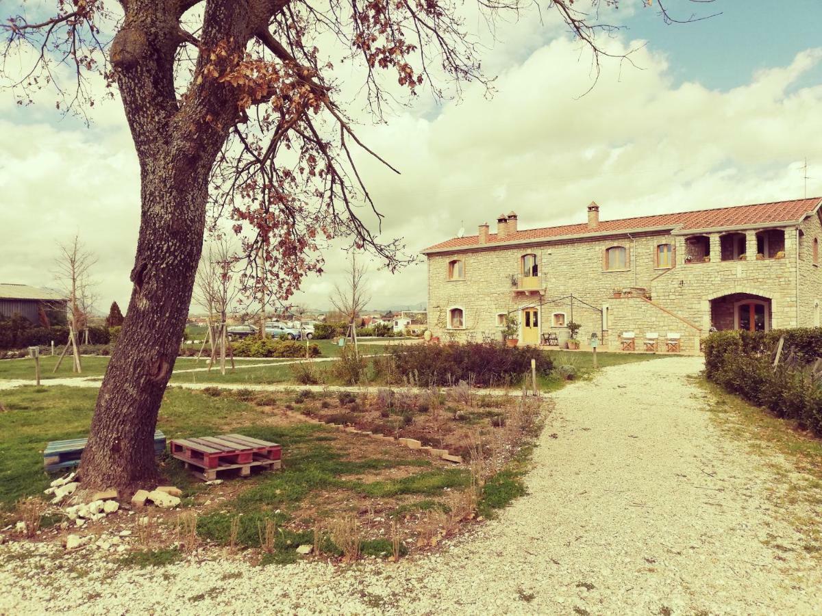 Masseria Fontana Dei Fieri بيترلشينا المظهر الخارجي الصورة